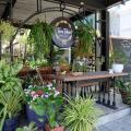 Tree Tales Cafe Preview
